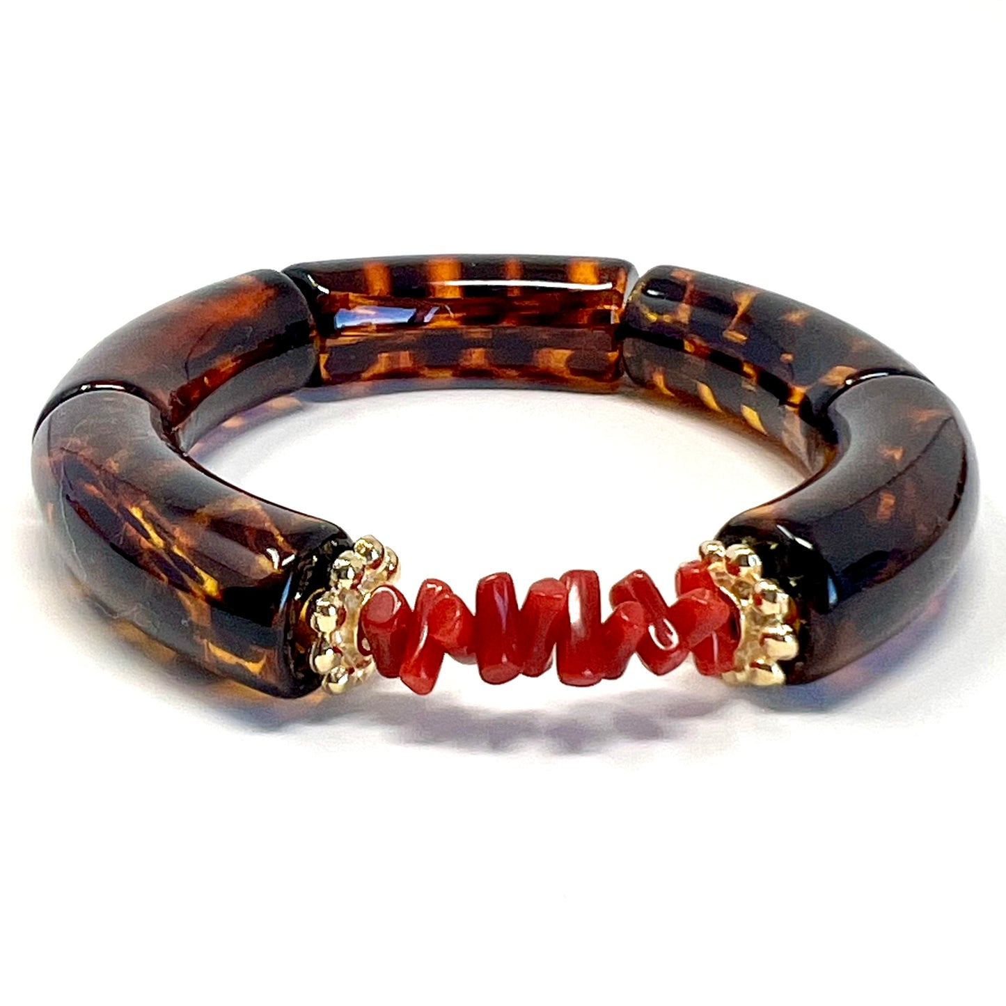 Goa Leopard
